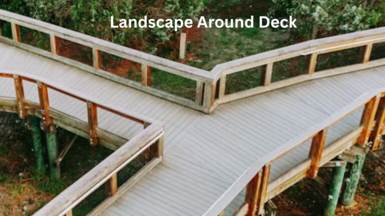 Landscape Around Deck